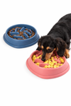 PawPace